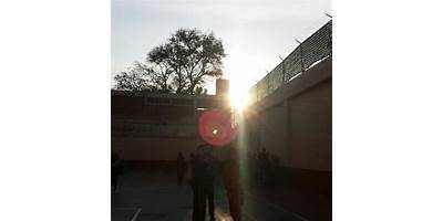 INSTITUTO PANAMERICANO DEL SUR