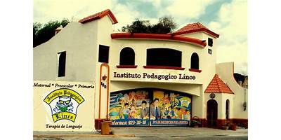 INSTITUTO PEDAGOGICO LINCE
