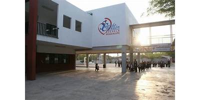 INSTITUTO PROFRA. MARIA GUADALUPE ALEJANDRO PALACIOS