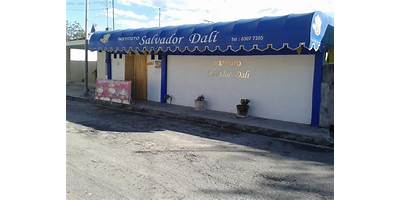 INSTITUTO SALVADOR DALI