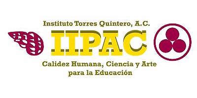 INSTITUTO TORRES QUINTERO A. C.