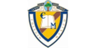 INSTITUTO VICENTE GUERRERO DE CELAYA