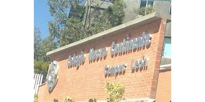 INSURGENTES