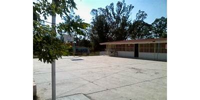 IRINEO RUIZ