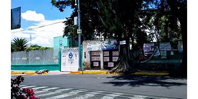 JARDIN DE NIÑOS MARTIN DE LA CRUZ