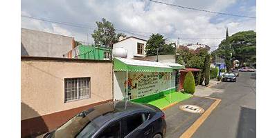 JARDIN DE NIÑOS YEYO