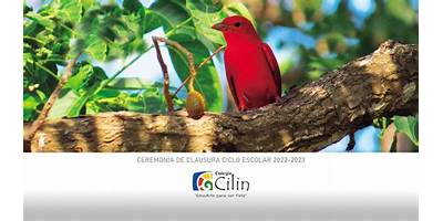 "JARDIN DENIÑOS ""CILIN"""