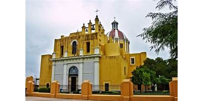JOSE LEON SUAREZ