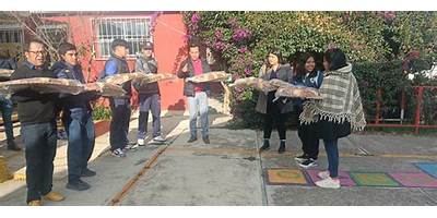 JUAN MANUEL CELIS PONCE