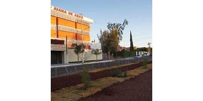 JUANA DE ARCO