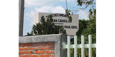 JULIAN CARRILLO