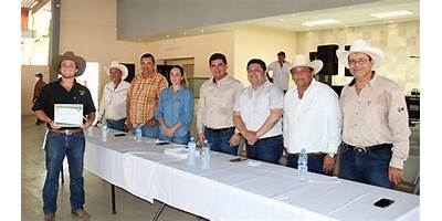 JULIAN OCAÑA ÁLVAREZ