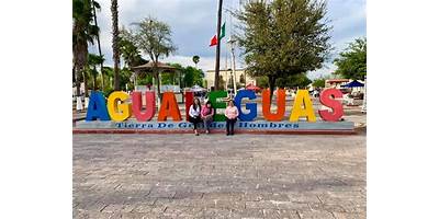 LA NUEVA UNION