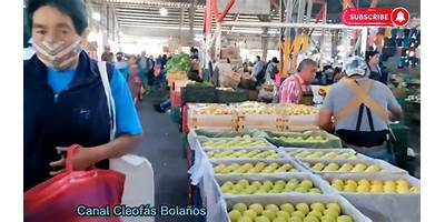 LA PURISIMA DIF