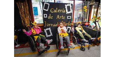LAS AMAPOLAS