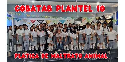 LAS BLANCAS MARIPOSAS