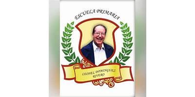 LEONEL DOMINGUEZ RIVERO