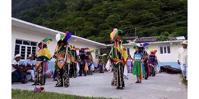 LIBERACION INDIGENA