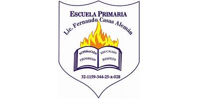 LIC. FERNANDO CASAS ALEMAN