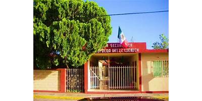 LIC. LEOPOLDO ORTIZ LIEBICH