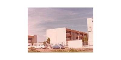 LIC. LUIS ECHEVERRIA ALVAREZ