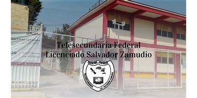 LICENCIADO SALVADOR ZAMUDIO