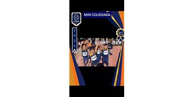 LICEO INTERNACIONAL DE CHIHUAHUA