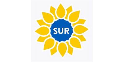 LOS GIRASOLES LA PRIMAVERA