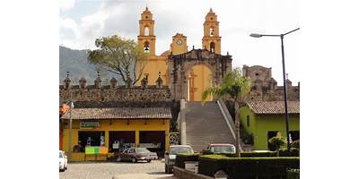 LOS LIRIOS GAVIA CHICA