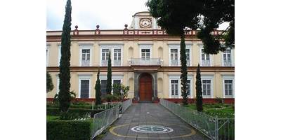LUIS GONZAGA