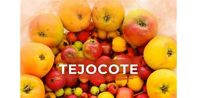 MACJIA PEDNI (VAMOS AL TEJOCOTE)