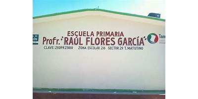 MAESTRO RAUL FLORES GARCIA