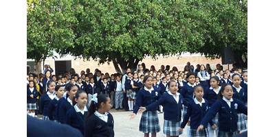 MANO AMIGA DE LEON A. C.