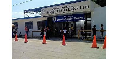 MANUEL CASTELLANOS CANCINO