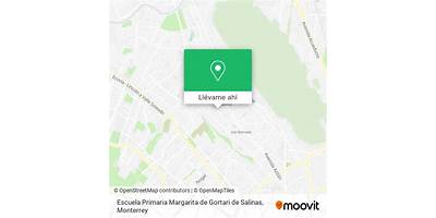 MARGARITA DE GORTARI DE SALINAS