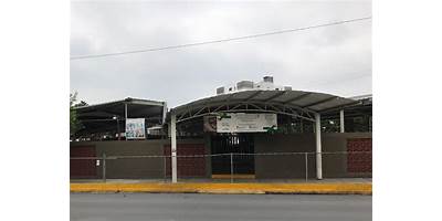 MARIA TRINIDAD MURILLO OLIVARES