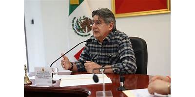 MARIO ARAUJO RODRIGUEZ