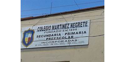 MARTINEZ NEGRETE