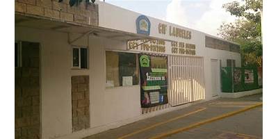 MAURO CARRASCO CASTILLO
