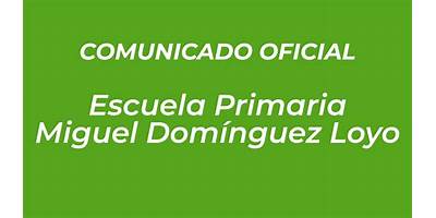 MIGUEL DOMINGUEZ LOYO