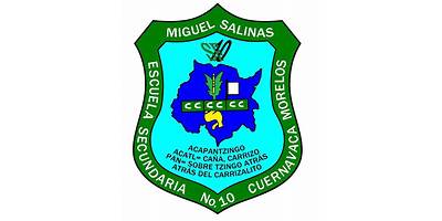 MIGUEL SALINAS
