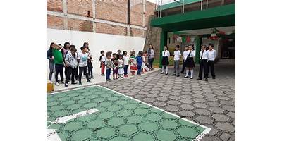 MONTESSORI ALBATROS