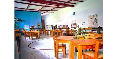 NENET CALLI MONTESSORI