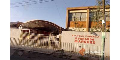NUM. 22 PROF. EVERARDO GAMIZ