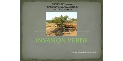 OFIC NO 0405 "JOAQUIN VELAZQUEZ DE LEON"
