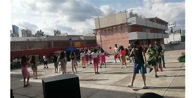 PACHECO Y HENNING
