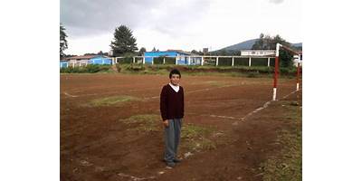 PALOS AMARILLOS YEBUCIVÍ (BARRIO DE LAS PALOMAS)