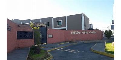 PEDRO CHANEL