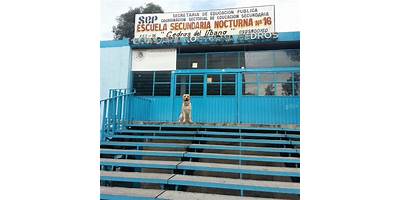 PEDRO DÍAZ