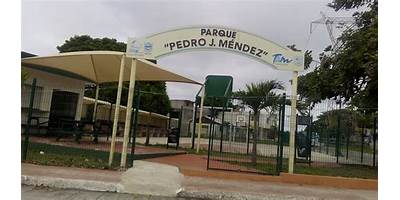 PEDRO J. MENDEZ